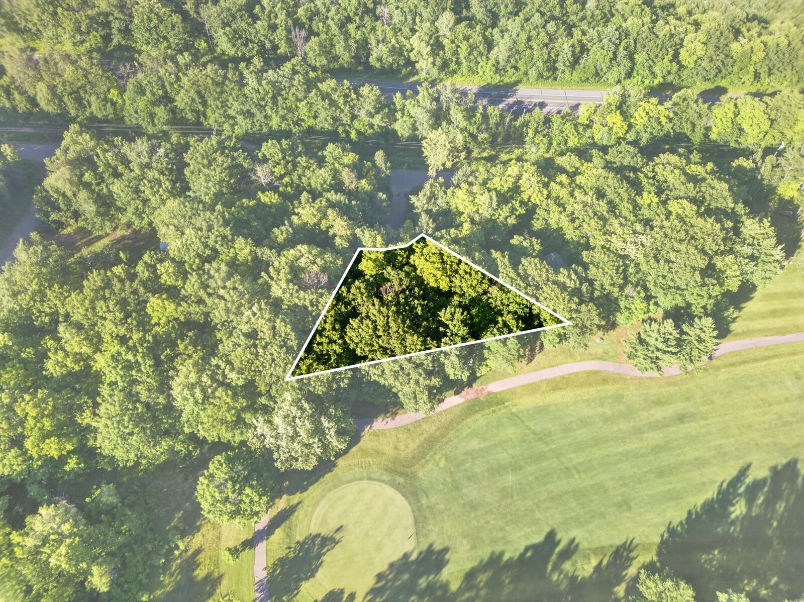 Property Photo:  Tbd Short Putt  MN 56450 