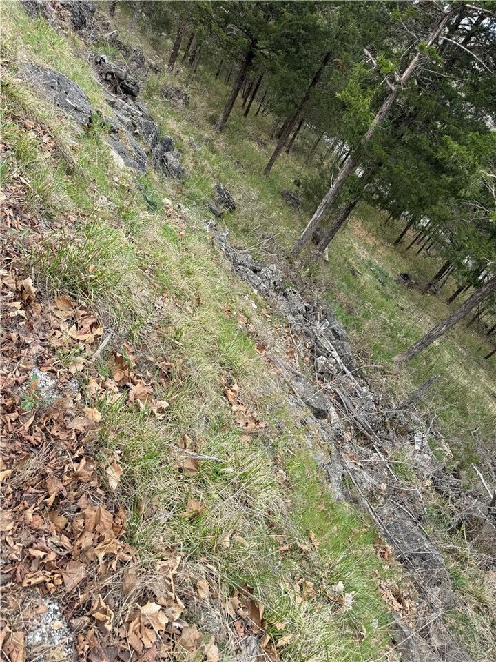 Property Photo: 9 Quailrun Lane AR 72631