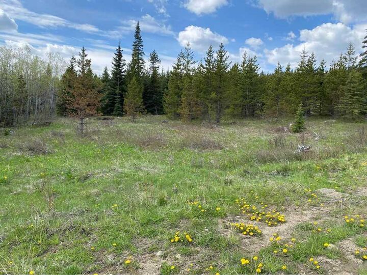 Property Photo: Lot 1 Heritage Ranch AB T0K 0K0