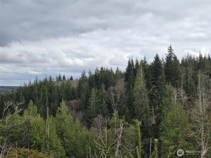 Property Photo:  0 Off Of  Hoquiam Wishkah Road  WA 98550 