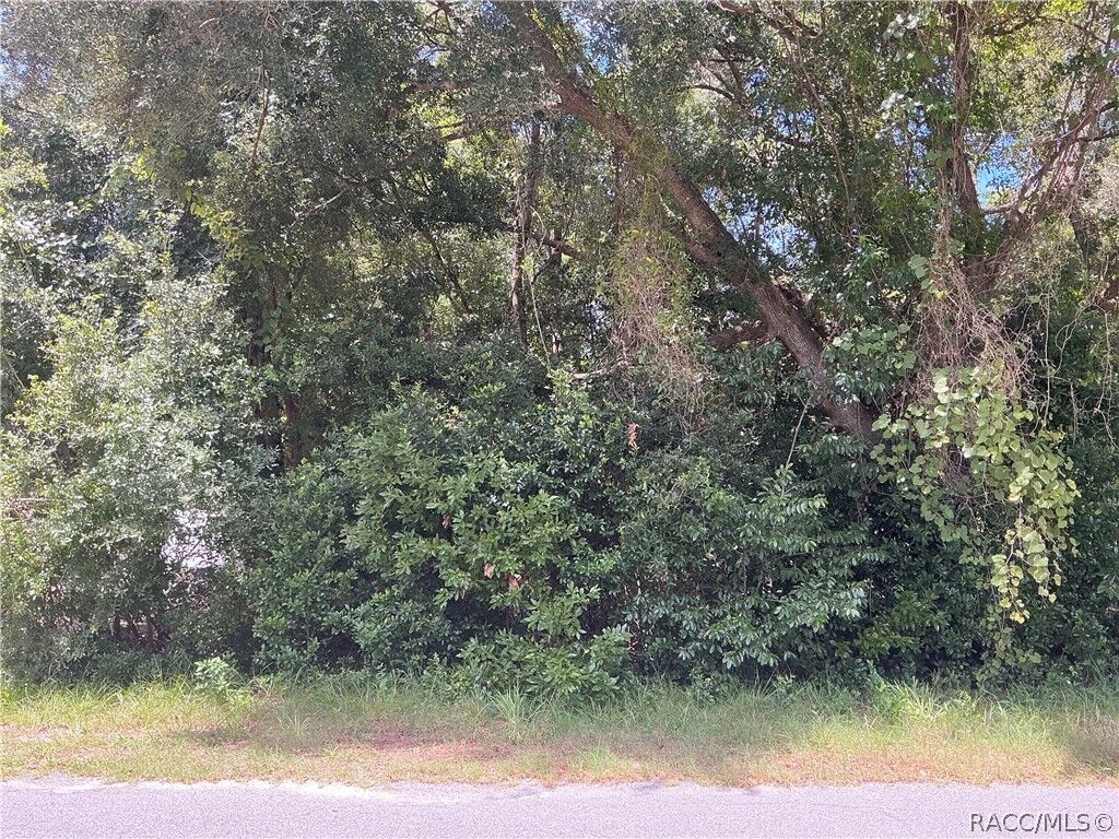 Property Photo:  3953 E Sanders Street  FL 34453 