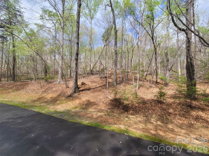 Property Photo:  0 Springhill Drive  NC 28139 