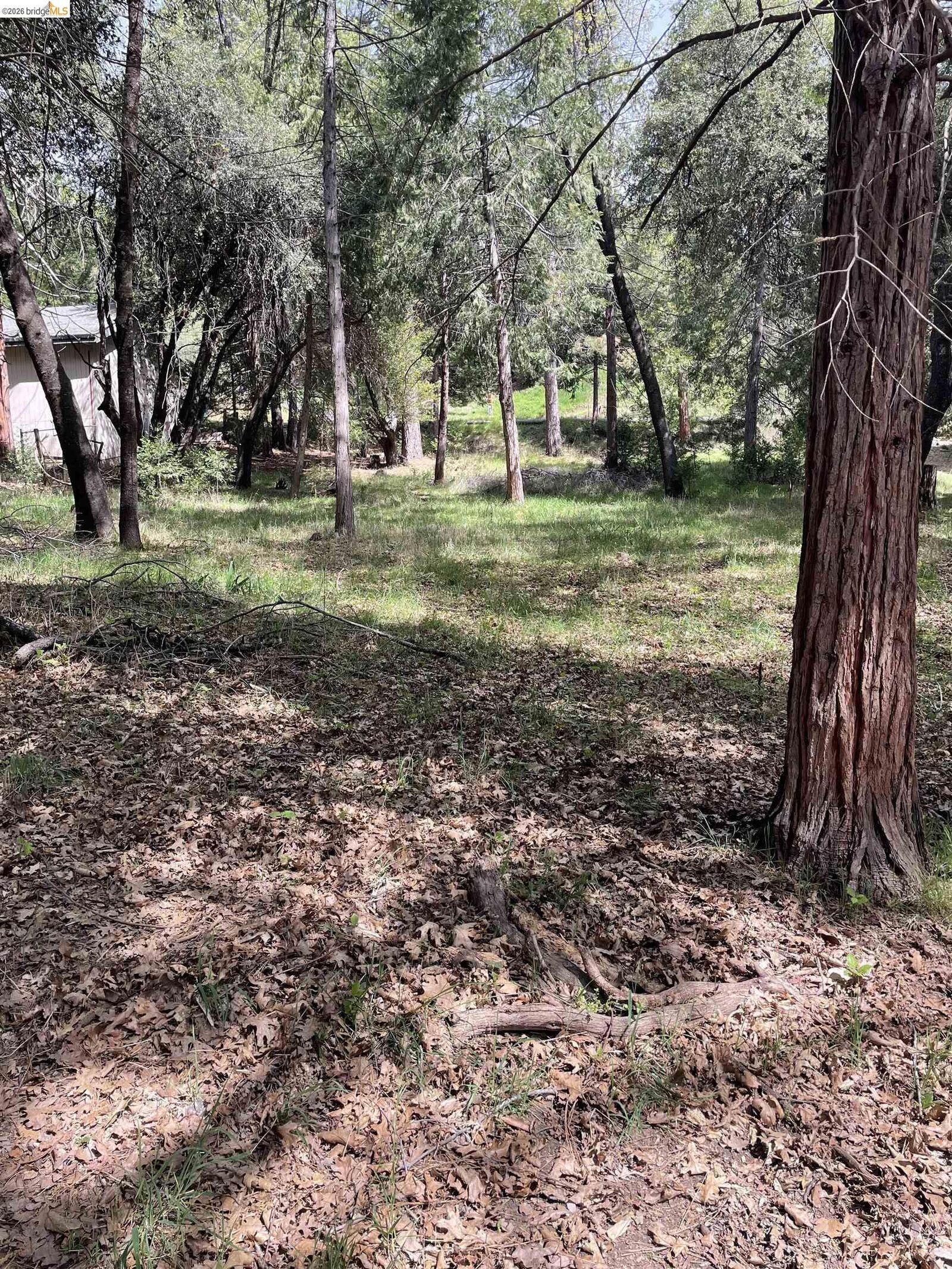 Property Photo:  16594 Creekside Dr  CA 95370 