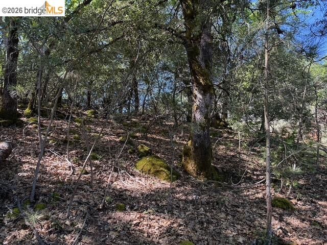 Property Photo:  21344 Green Meadow Ln  CA 95370 
