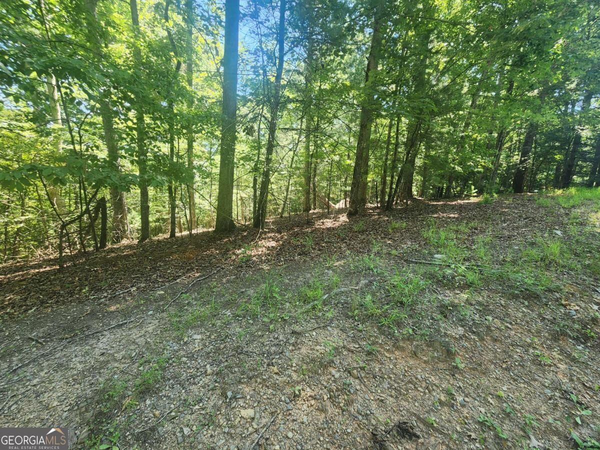 Property Photo:  Lot 3 Meadow View Drive 3  GA 30560 