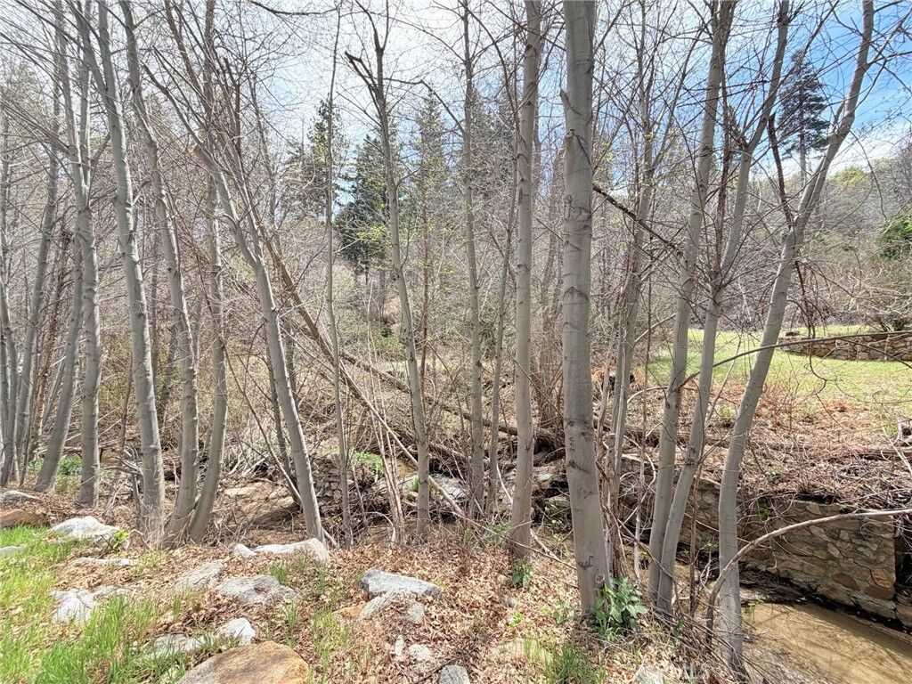 Property Photo: 29949 Hook Creek CA 92321