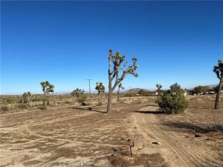 Property Photo:  57031 Buena Vista  CA 92284 