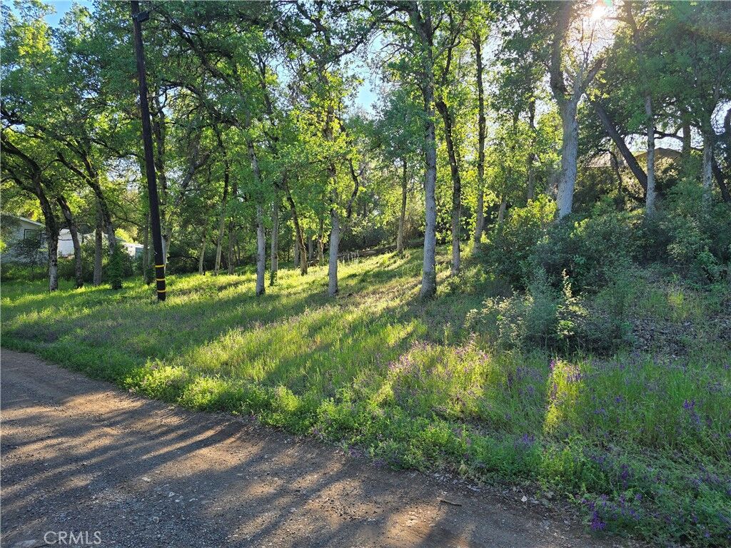 Property Photo:  6176 Armijo Avenue  CA 95422 