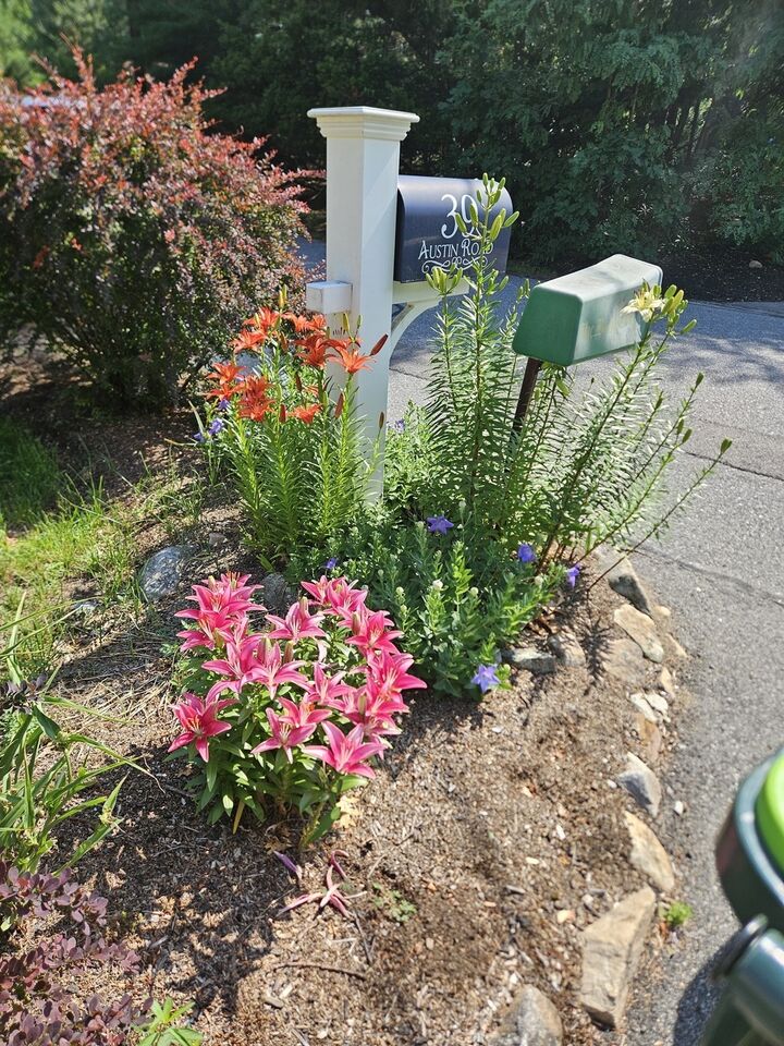Property Photo: 39 Austin Rd MA 01776