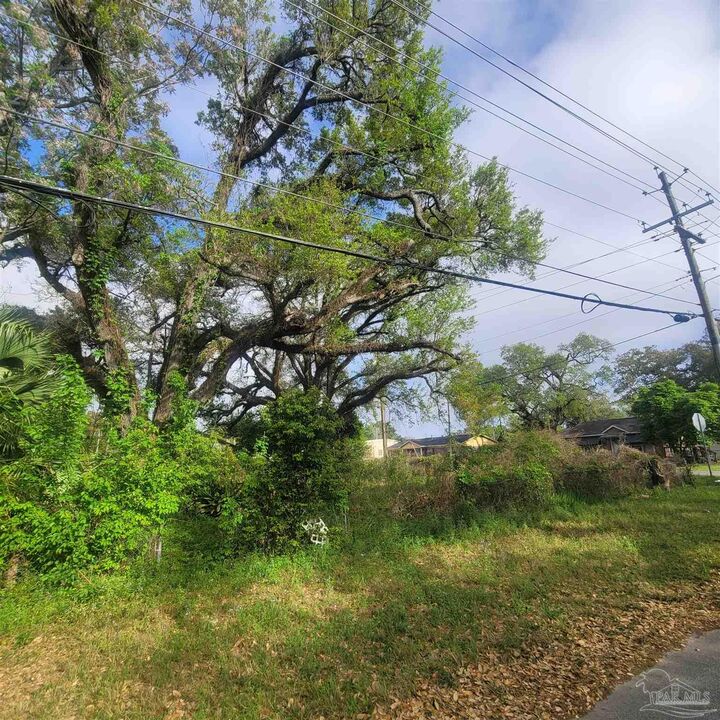 Property Photo:  1500 N P St  FL 32505 