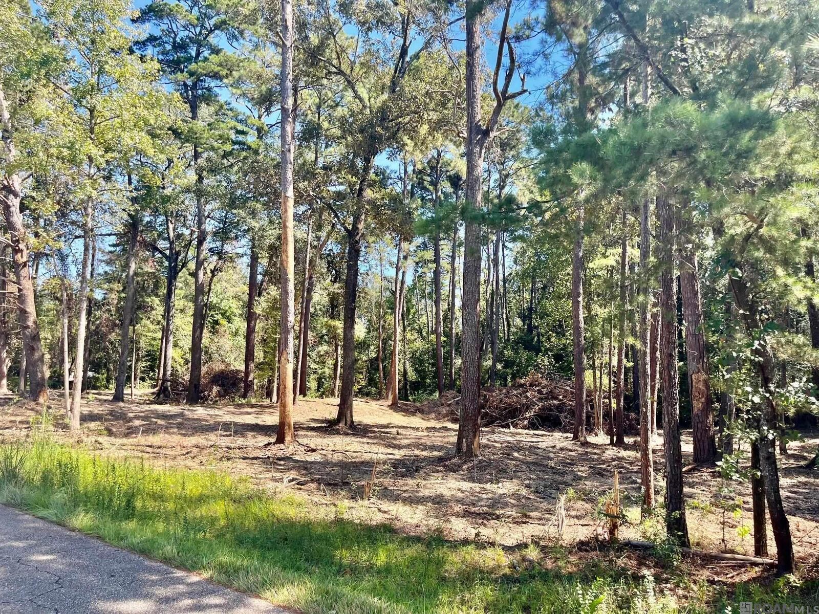 Property Photo:  15902 Chaumont Ave  LA 70739 