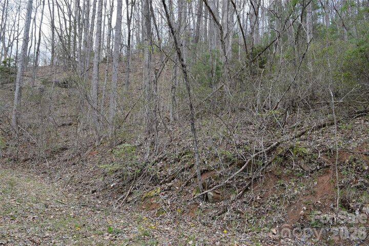 Property Photo: Tbd Bel Air Road 20 NC 28723