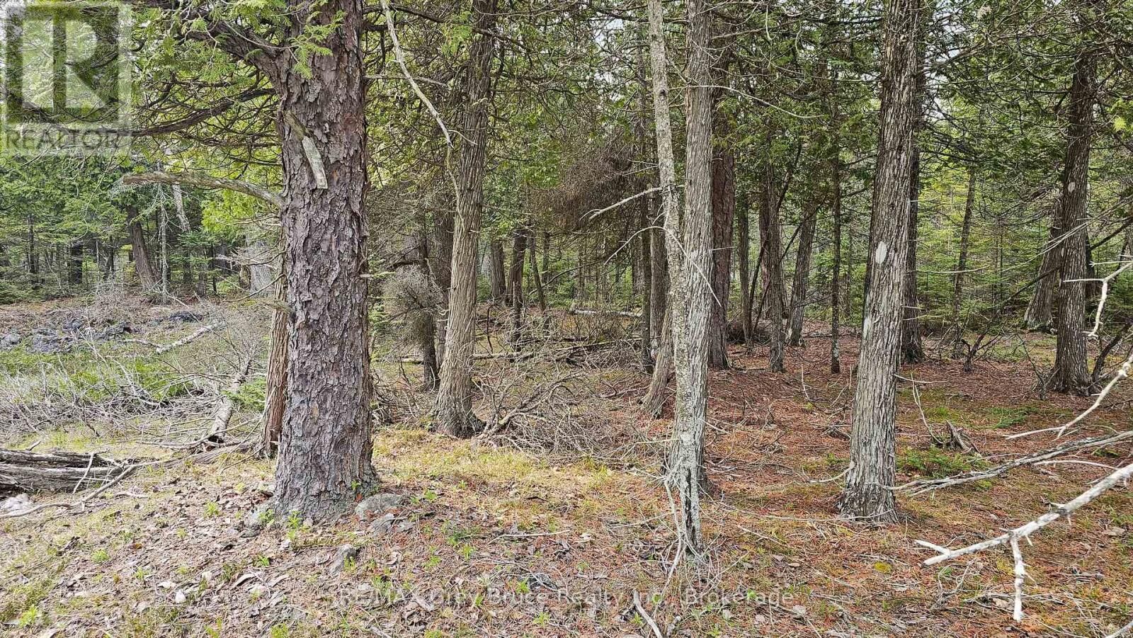 Property Photo:  Lt 255 Pedwell Pt. Drive  ON N0H 2R0 