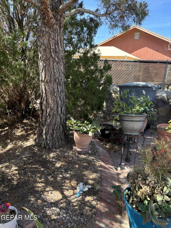 Property Photo:  3260 Catherine Ann Drive  TX 79936 