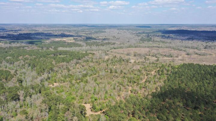 Property Photo:  0001N County Road 1463  TX 75656 