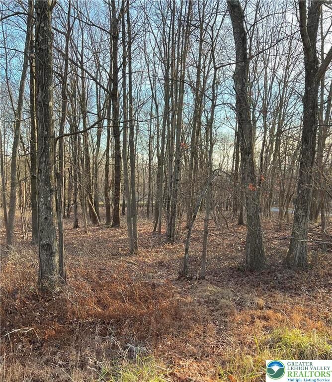 Property Photo:  119 Seneca Road  PA 18210 