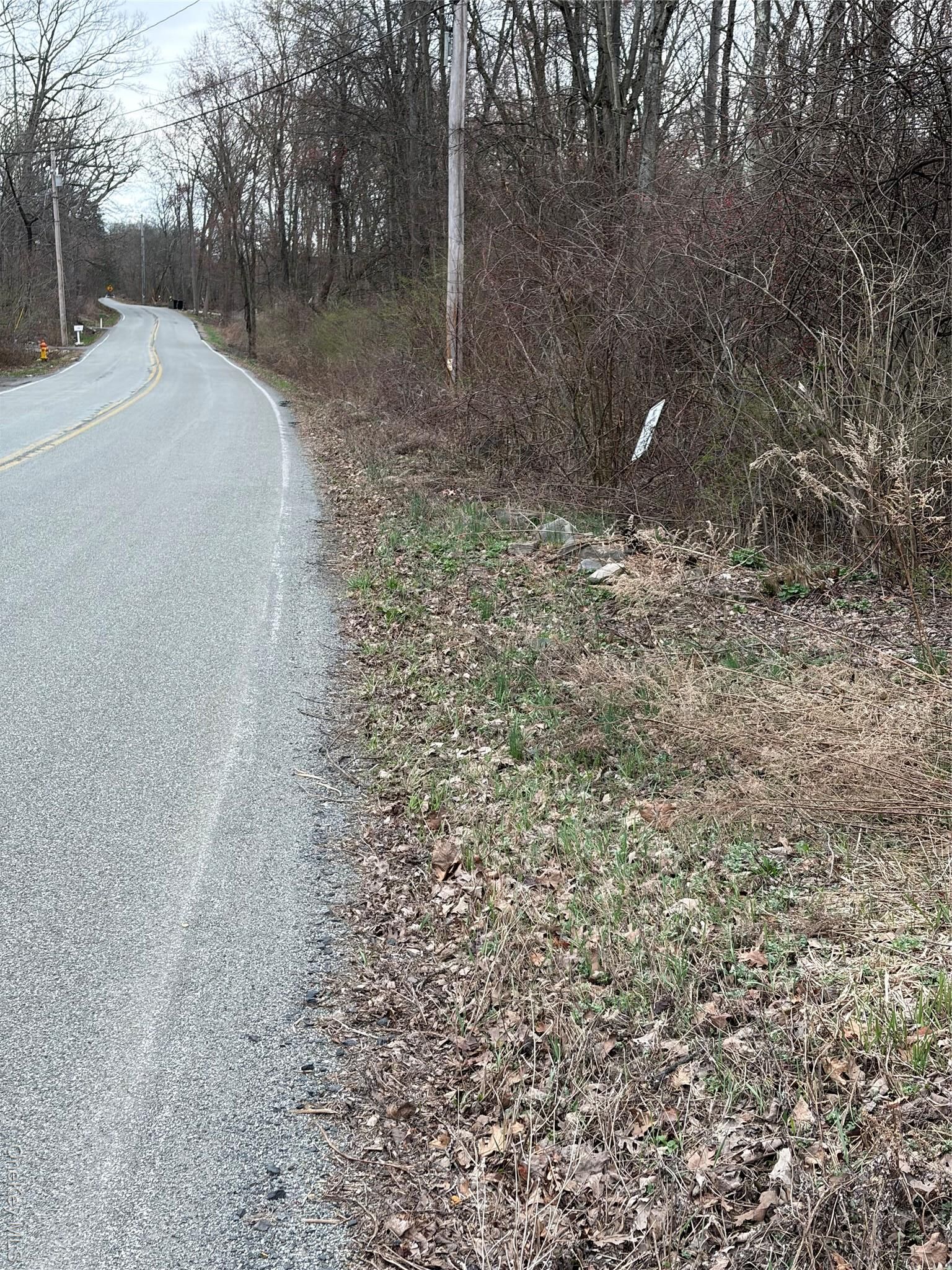 Property Photo:  Wells  NY 12550 