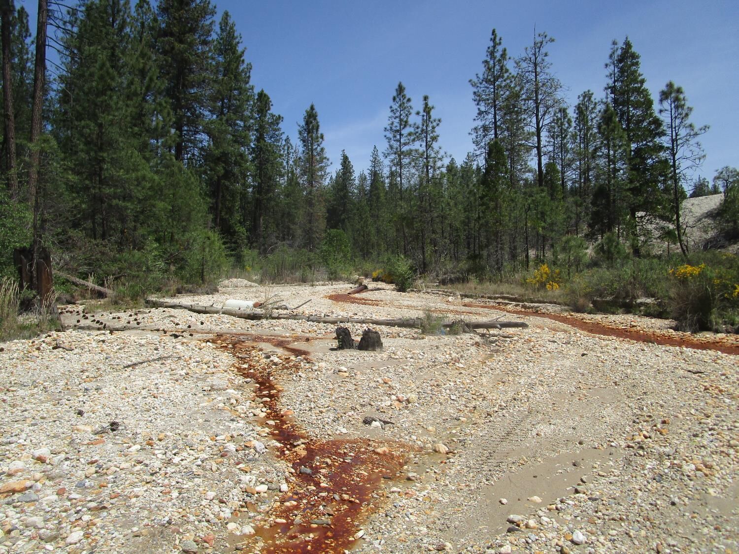 Property Photo:  15699 Tyler Foote Road  CA 95959 