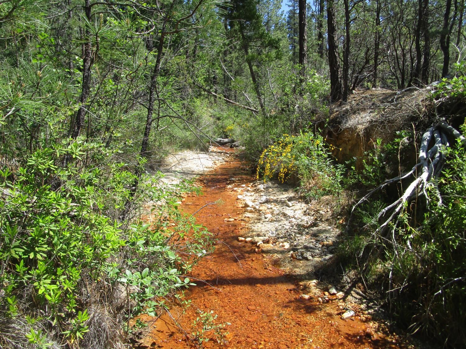 Property Photo:  15699 Tyler Foote Road  CA 95959 