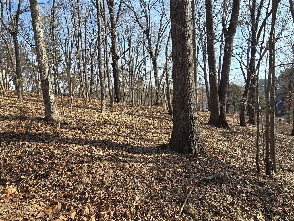 Property Photo: .44 Acres Ellenbarger Wc 516 AR 72764