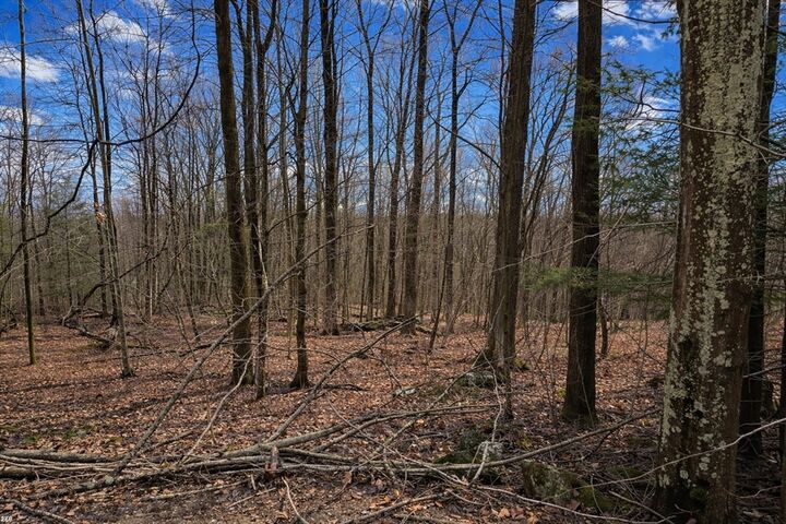 Property Photo:  134 Nash Hill Rd  MA 01096 