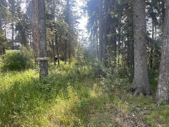 Property Photo:  Lot 804 Brightsand Crescent  SK S0M 0H0 
