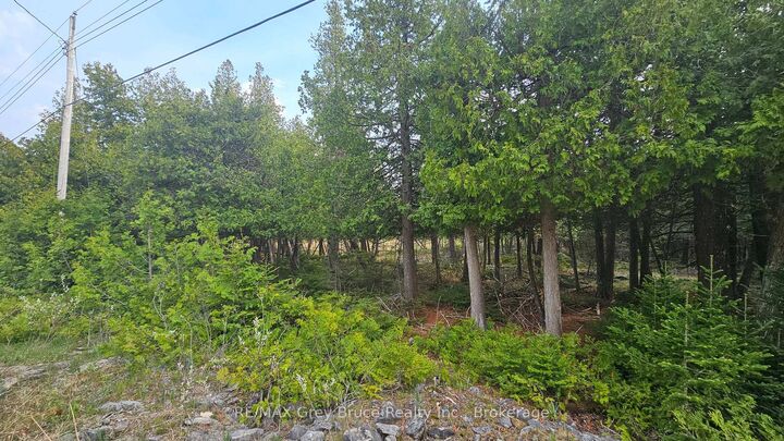Property Photo:  Lt 254 Dorcas Bay Road  ON N0H 2R0 