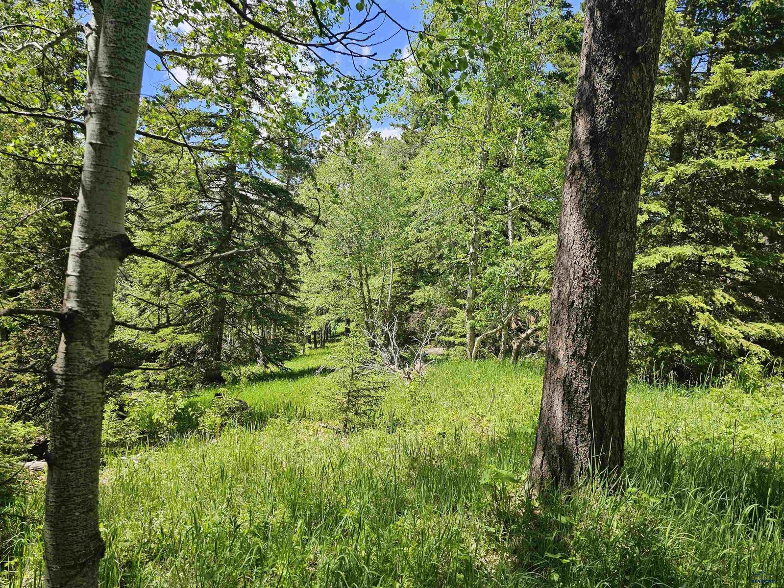 Property Photo:  Tbd Terry Peak Summit Rd  SD 57754 