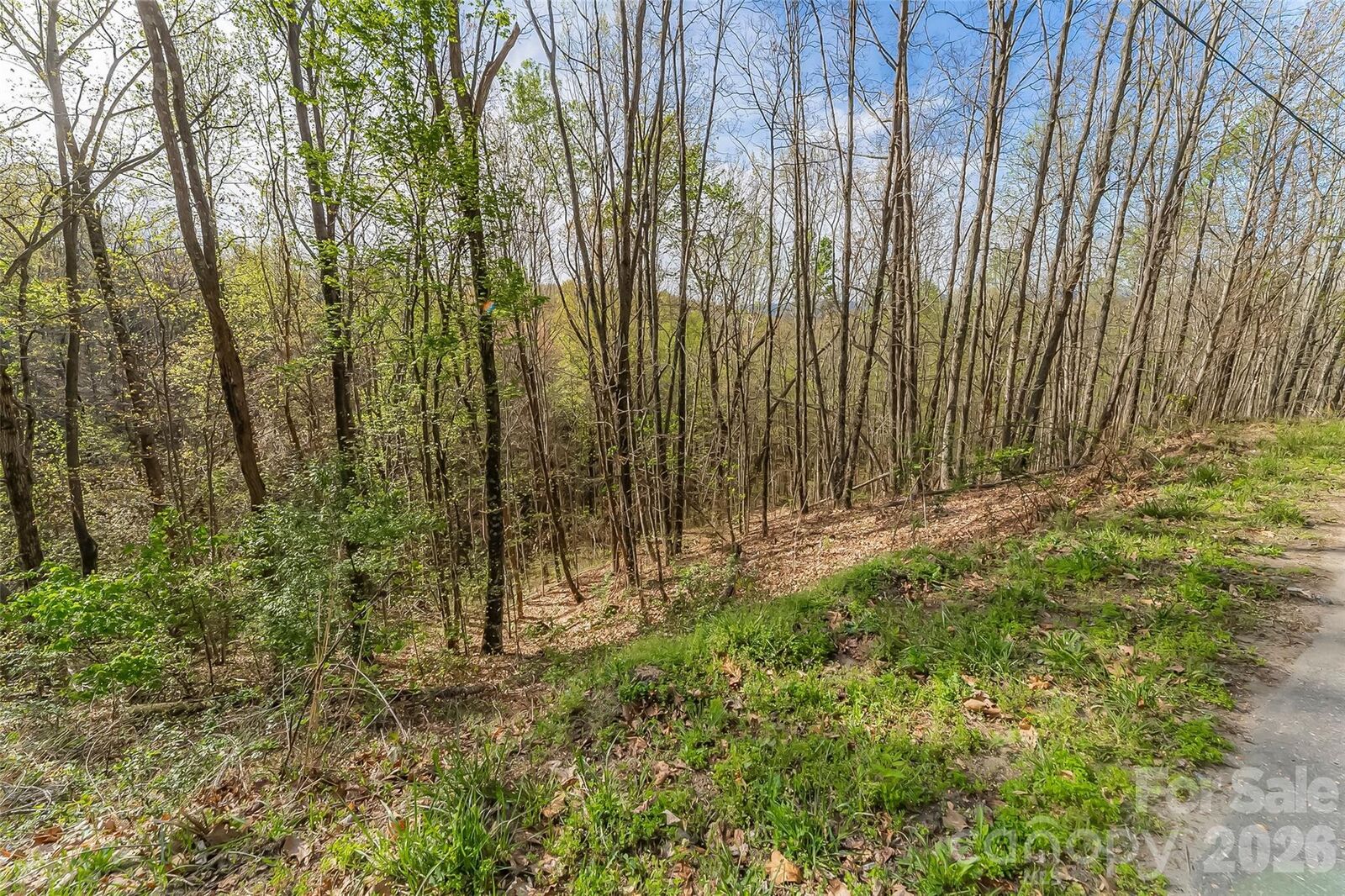 Property Photo:  0 High Peak Mountain Road  NC 28690 