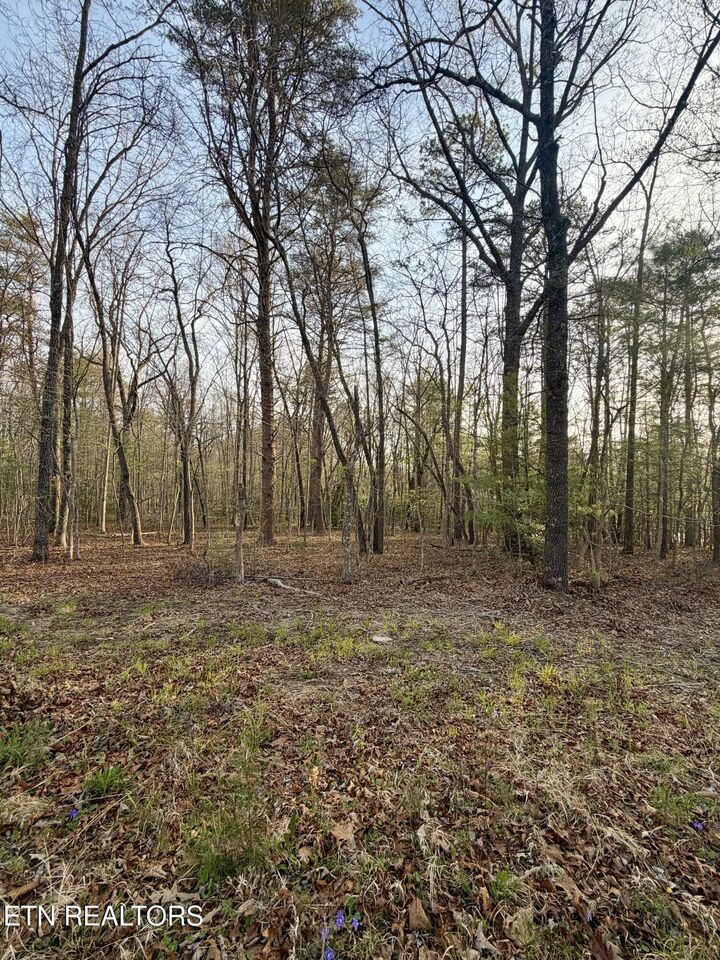 Property Photo:  156 Dalefield Loop  TN 38558 