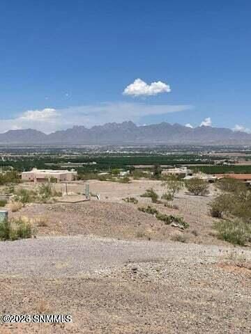 Property Photo:  550 Lark Spur Way  NM 88007 