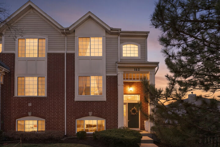 Property Photo:  112 Morgans Gate Drive  IL 60191 