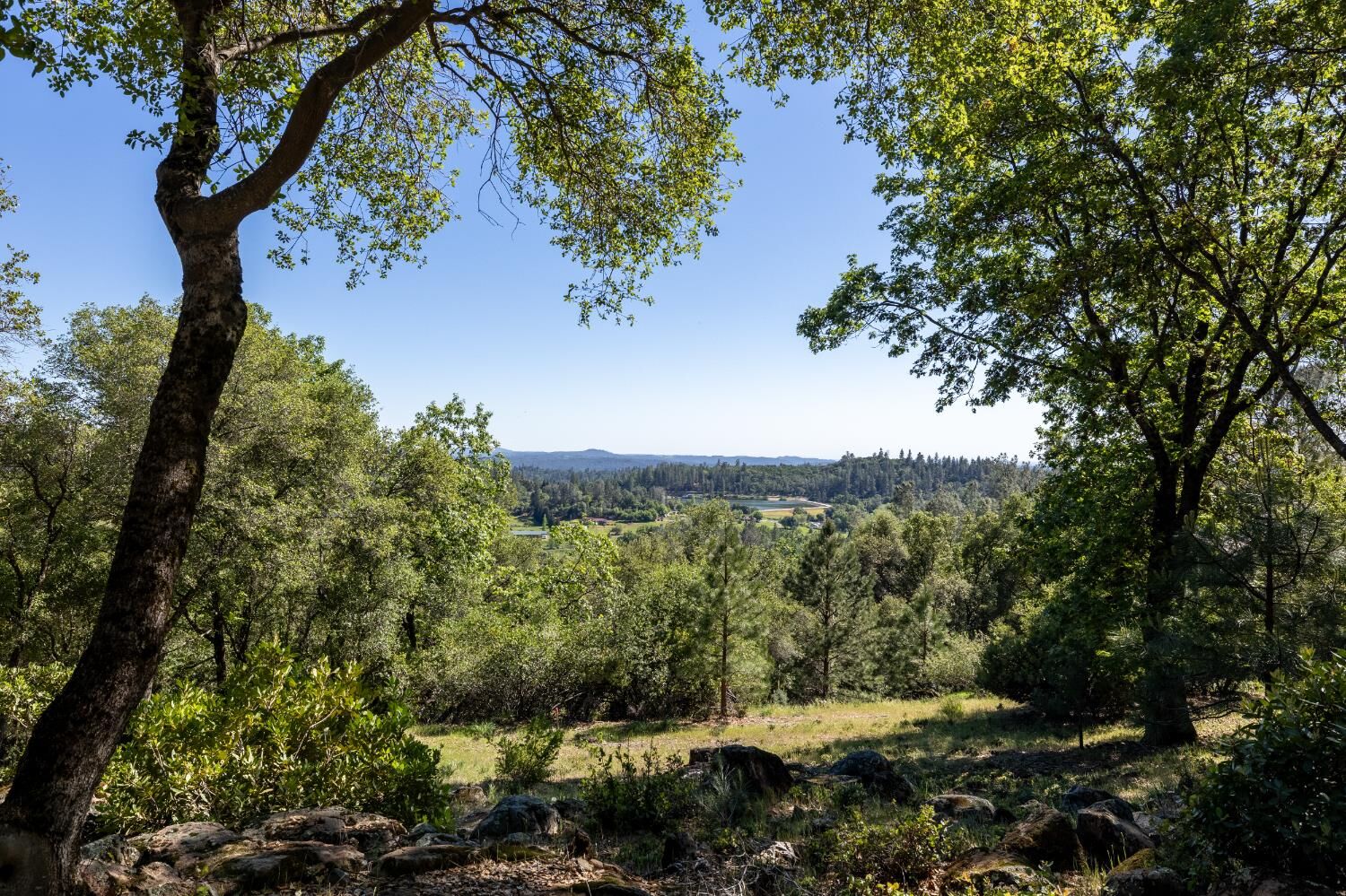 Property Photo:  1235 Forest View Drive  CA 95722 