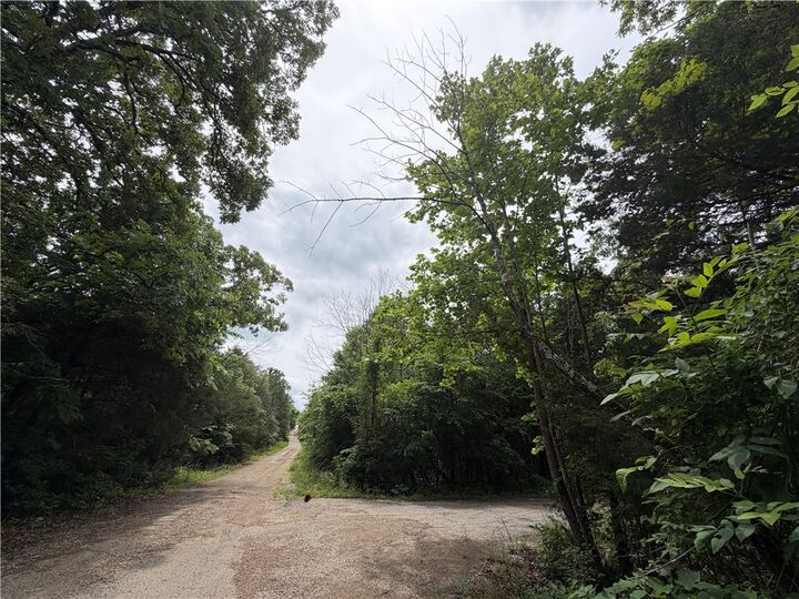 Property Photo:  Clark Lane  AR 72512 