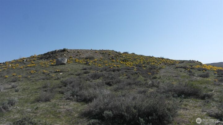 Property Photo:  31  Cowboy Road  WA 98834 