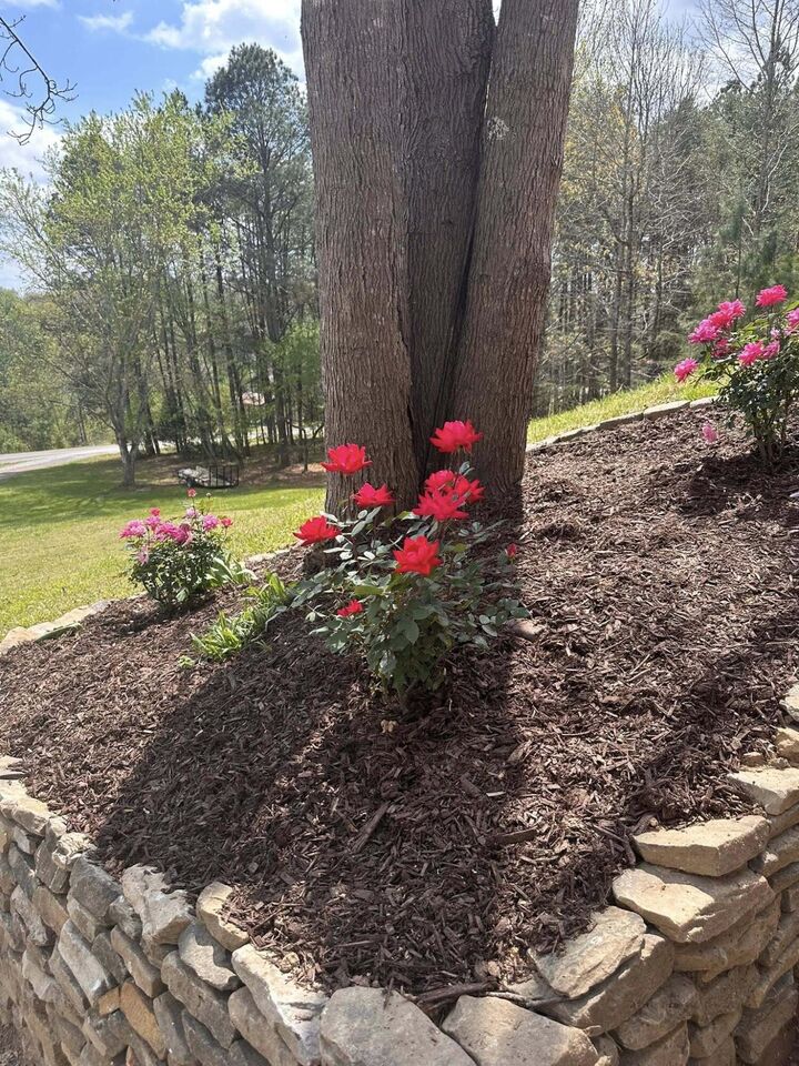 Property Photo:  4121 Hidden Valley Road NW  TN 37312 