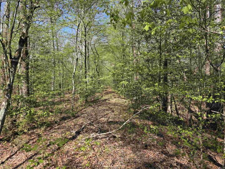 Property Photo:  Tbd Shawmut Road  AR 71958 