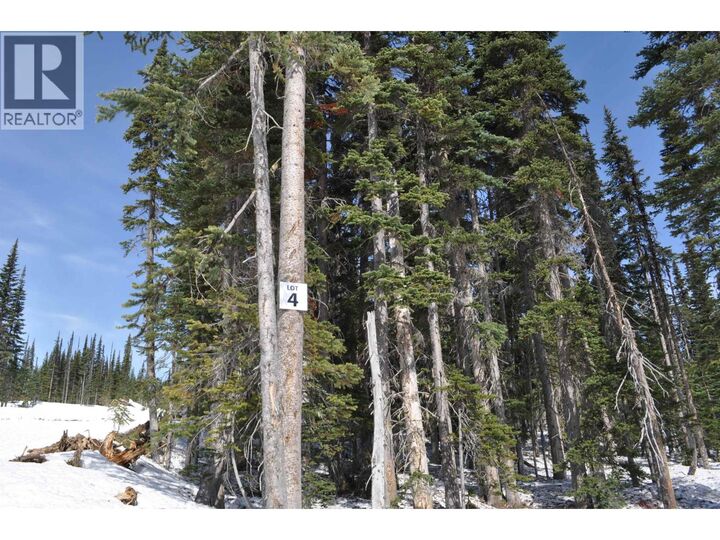 St 4 Alpine Way Pt. — photo 1