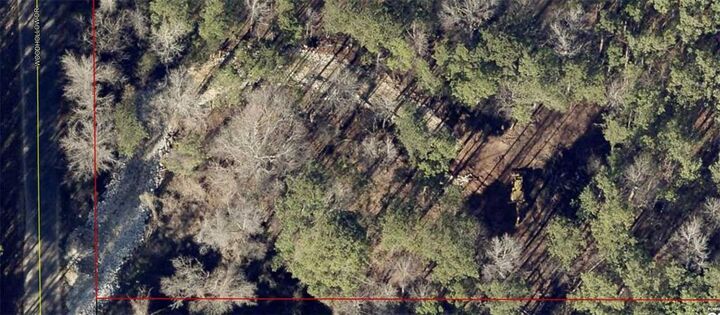 Property Photo:  148 Woodhollow Drive  GA 30223 