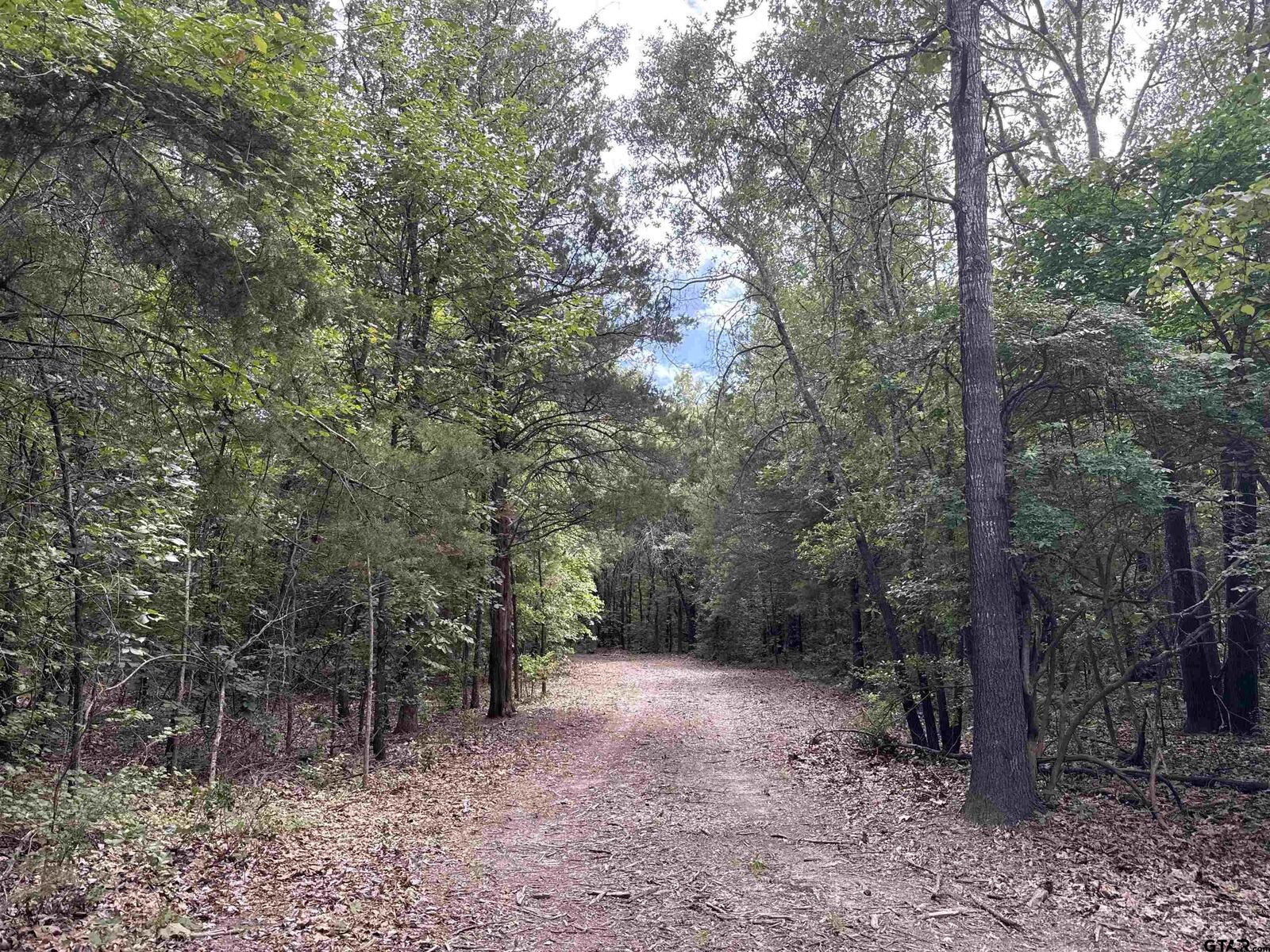 Property Photo:  22417 Cr 455  TX 75773 