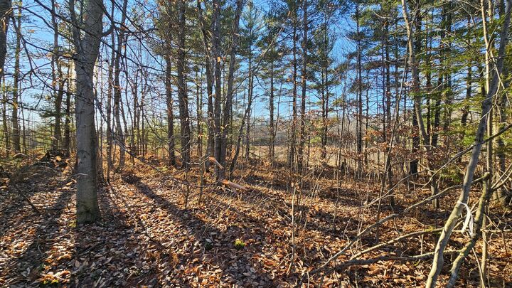 Property Photo:  1621 Baker Road NE  MI 49646 