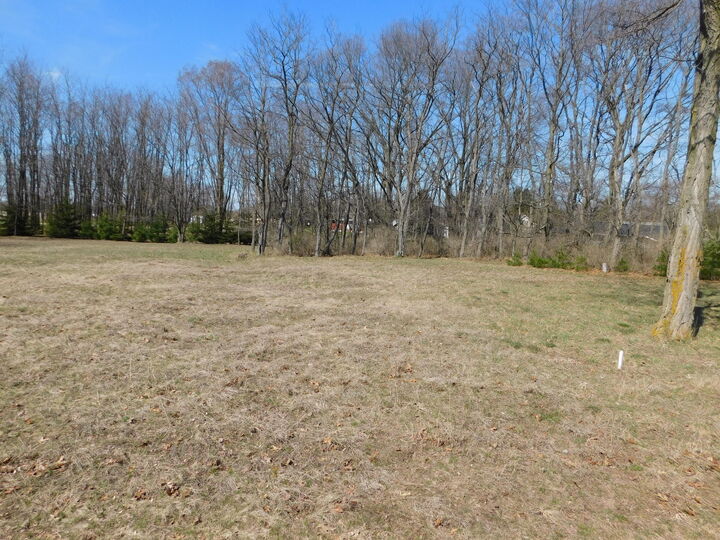 Property Photo:  0 Twenty-Sixth Street  MI 49660 