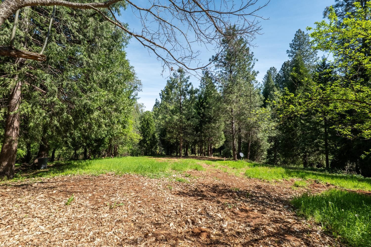 Property Photo: 202 Gold Flat Road CA 95959