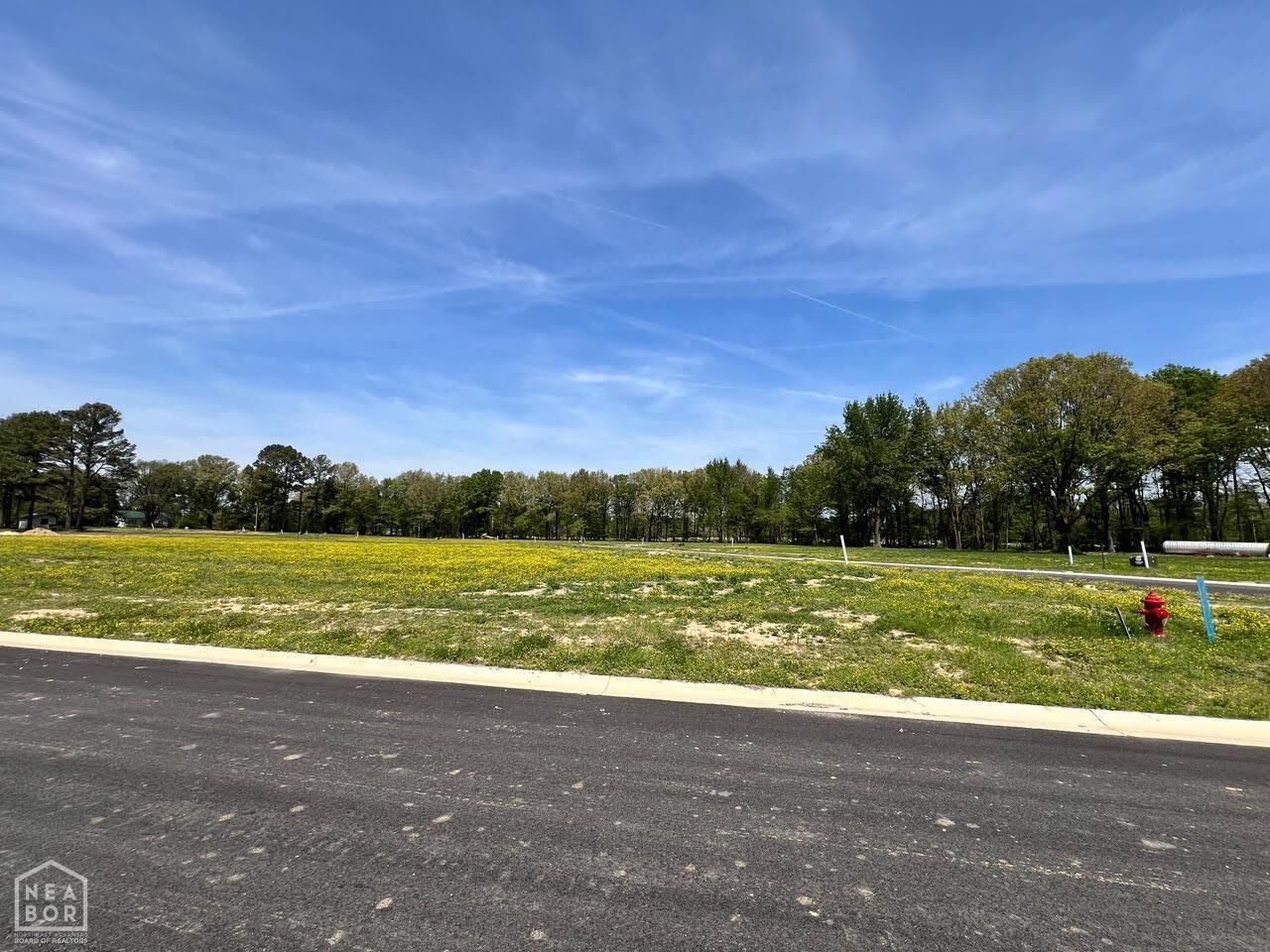 Property Photo:  111 Horseshoe Creek Drive  AR 72417 