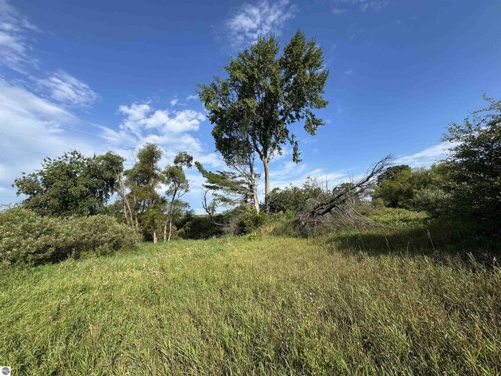 Property Photo:  2231 Tyler Hills Drive  MI 49685 