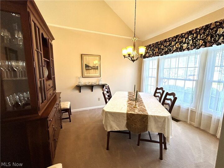 Property Photo:  15220 Chestnut Oak Lane  OH 44149 