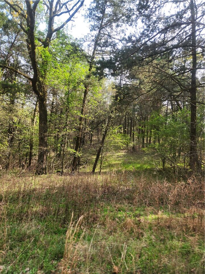 Property Photo:  Lakeview  AR 72847 