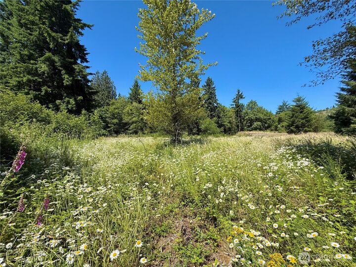 Property Photo:  127  Sawall H  WA 98531 