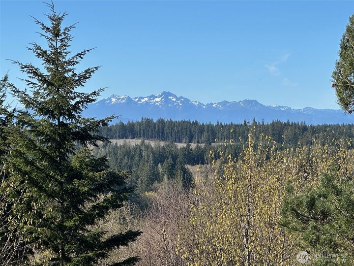 Property Photo: 0 Tr 1&2 E Agate Road WA 98584