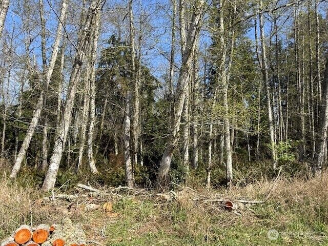 Property Photo:  0 Lot 15  Ander Park Road  WA 98249 